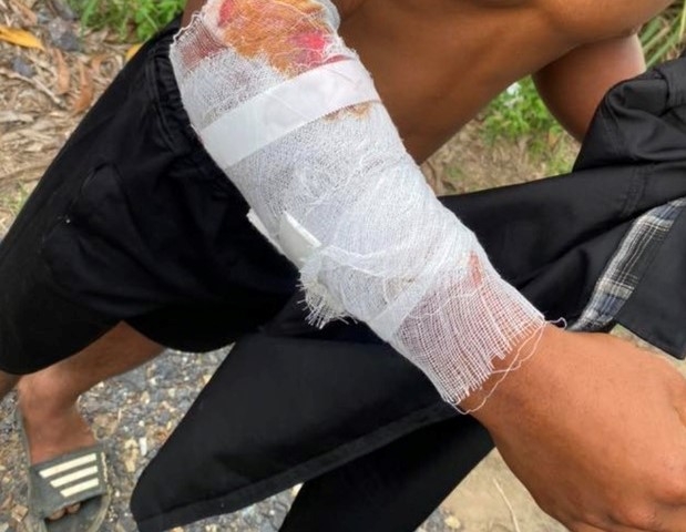 Truy bắt cá sấu tấn công người trên sông Chò (Khánh Hòa)